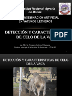 Detección y Caracteristicas de Celo de La Vaca