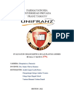 FARMACOGNOSIA Descripcion Organoleptica