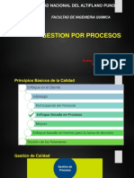 Gestion Por Procesos