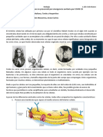 Biologia 1er Año CB T.M T.T T.V Prof - Villanueva Ana González Macarena Araoz Carina