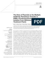 The Role of Plasmids in The Multiple Antibiotic Re