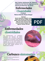 Enfermedades Clostridiales