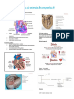 Resumo A1 Clinica II