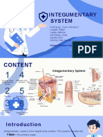 Integumentary System