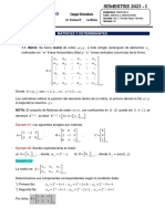 Guía 04 Matrices y Determinantes