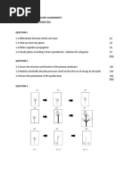 PTP1501 2023 Assignment Ass1 Sem1