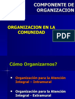 Componente de Organizacion Extramural Puno