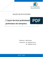 L'impact Du Stress Professionnel Sur La Performance Des Entreprises