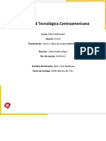 S5 Tarea 5 Análisis Tipos de Responsabilidades