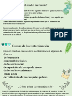 Exposición Medio Ambiente y Contaminacion