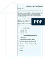 CV Especialista en Serguridad - Efrain Carlos Cordova Nieto