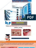 Enfermedad de La Pulma Dentaria Aftas y Caries