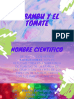 El Bambu y El Tomate