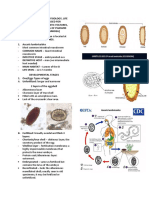 Morphology para Lec 2