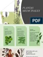 Plantas Medicinales