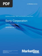 Sony Company Report