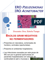 Bacilos Gram Negativos Pseudomonas