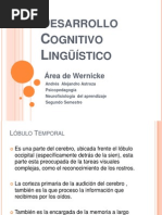 Desarrollo Cognitivo Lingüístico