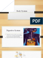 6 - Body Human System