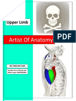 MSK Upper Limb