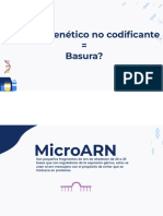 MicroARNs en Cáncer