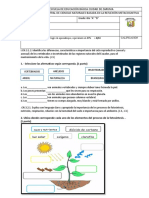 Evaluacion Quimestral de CCNN