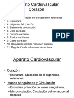 Aparato Cardiovascular 2012