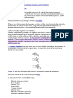 Sistema Osteoarticular