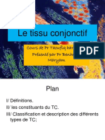 Le Tissu Conjonctif PDF