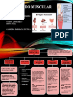 Anatomía y Fisiología - Tejido Muscular