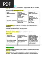 Clinica Segundo Semestre Final 1.0