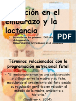 Nutrición en El Embarazo y La Lactancia