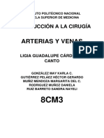 Guia Cirugia Venas y Arterias