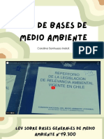 Ley de Bases de Medio Ambte 2023