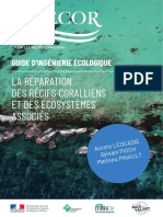 La Réparation Des Récifs Coralliens Et Des Écosystèmes Associés