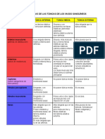 Características de Las Túnicas de Los Vasos Sanguíneos