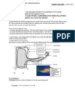 Competence4 Lecon 1 Absorption Des Plantes