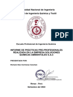 Informe de Prácticas Pre-Profesionales