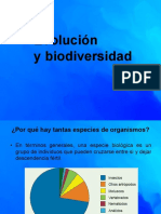 Evolución Orgánica I MEDIO