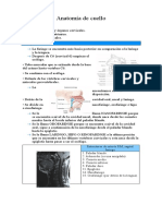 Anatomia Clase 11