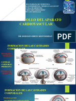 Desarrollo Del Aparato Cardiovascular I 2023