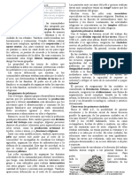 3.3 de Las Aldeas A Las Primeras Ciudades