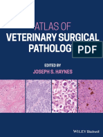 Joseph S. Haynes - Atlas of Veterinary Surgical Pathology-Wiley-Blackwell (2023)