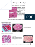 Histologia 