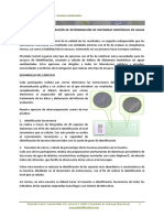 IC Diatomeas Bentonicas PhytolabControl