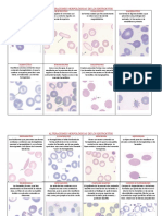 Atlas Hematologia