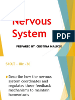 G10 Science Q3 Nervous System