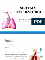 Aula 7 - Sistema Respiratório