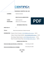 Informe 8 Reacciones Quimicas en Solución Acuosa