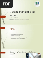 L'étude Marketing de Projet